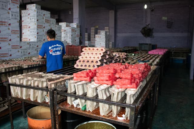 Trabajador atendiendo moldes de tela llenos de veladoras en distintas etapas